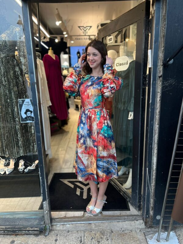 embroidered silk dress