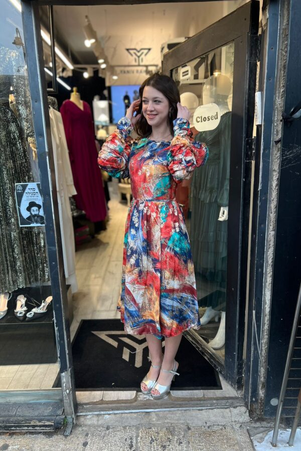 embroidered silk dress